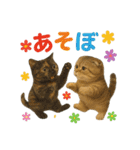 日常使い 猫がそばにいる（個別スタンプ：4）