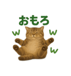 日常使い 猫がそばにいる（個別スタンプ：8）