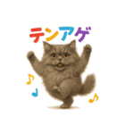 日常使い 猫がそばにいる（個別スタンプ：9）