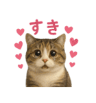 日常使い 猫がそばにいる（個別スタンプ：11）