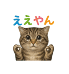 日常使い 猫がそばにいる（個別スタンプ：19）