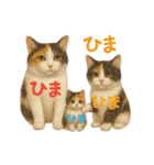 日常使い 猫がそばにいる（個別スタンプ：23）