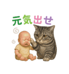日常使い 猫がそばにいる（個別スタンプ：24）