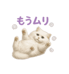 日常使い 猫がそばにいる（個別スタンプ：26）