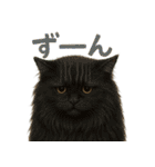 日常使い 猫がそばにいる（個別スタンプ：27）