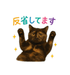 日常使い 猫がそばにいる（個別スタンプ：28）