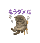 日常使い 猫がそばにいる（個別スタンプ：29）