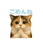 日常使い 猫がそばにいる（個別スタンプ：30）
