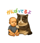 日常使い 猫がそばにいる（個別スタンプ：37）