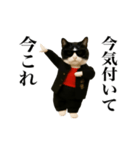 踊る！今これスケバンにゃんこ（個別スタンプ：3）