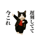 踊る！今これスケバンにゃんこ（個別スタンプ：4）