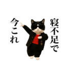 踊る！今これスケバンにゃんこ（個別スタンプ：6）