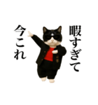 踊る！今これスケバンにゃんこ（個別スタンプ：9）