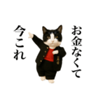 踊る！今これスケバンにゃんこ（個別スタンプ：11）