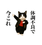 踊る！今これスケバンにゃんこ（個別スタンプ：15）