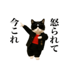 踊る！今これスケバンにゃんこ（個別スタンプ：21）