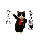 踊る！今これスケバンにゃんこ（個別スタンプ：23）