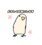 くまっこたちスタンプ（個別スタンプ：1）
