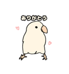 くまっこたちスタンプ（個別スタンプ：5）