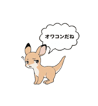 オワコン カンガルー（個別スタンプ：1）