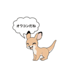 オワコン カンガルー（個別スタンプ：8）