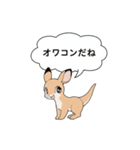 オワコン カンガルー（個別スタンプ：14）