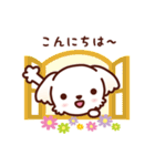 マルチーズ_ずーっと使えるスタンプ（個別スタンプ：2）