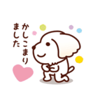 マルチーズ_ずーっと使えるスタンプ（個別スタンプ：13）