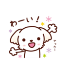 マルチーズ_ずーっと使えるスタンプ（個別スタンプ：15）