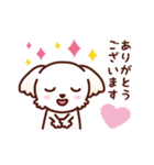 マルチーズ_ずーっと使えるスタンプ（個別スタンプ：17）