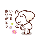 マルチーズ_ずーっと使えるスタンプ（個別スタンプ：18）