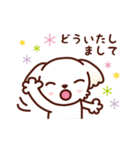 マルチーズ_ずーっと使えるスタンプ（個別スタンプ：20）