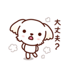 マルチーズ_ずーっと使えるスタンプ（個別スタンプ：23）