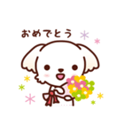 マルチーズ_ずーっと使えるスタンプ（個別スタンプ：26）