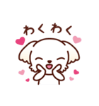 マルチーズ_ずーっと使えるスタンプ（個別スタンプ：27）