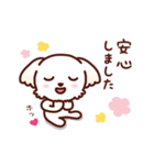 マルチーズ_ずーっと使えるスタンプ（個別スタンプ：31）