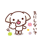 マルチーズ_ずーっと使えるスタンプ（個別スタンプ：32）
