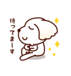 マルチーズ_ずーっと使えるスタンプ（個別スタンプ：36）