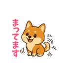 柴犬ムギの日常スタンプ1（個別スタンプ：3）
