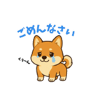 柴犬ムギの日常スタンプ1（個別スタンプ：6）