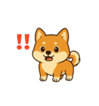 柴犬ムギの日常スタンプ1（個別スタンプ：10）