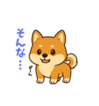 柴犬ムギの日常スタンプ1（個別スタンプ：13）