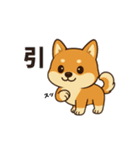 柴犬ムギの日常スタンプ1（個別スタンプ：16）