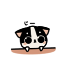 らてちゃんのスタンプ2（個別スタンプ：1）
