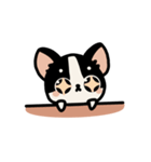 らてちゃんのスタンプ2（個別スタンプ：2）