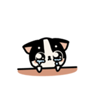 らてちゃんのスタンプ2（個別スタンプ：4）