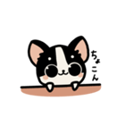 らてちゃんのスタンプ2（個別スタンプ：5）
