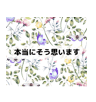 日常使える大人の褒め言葉（個別スタンプ：12）