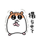 写真撮りに行くハムスター（個別スタンプ：2）