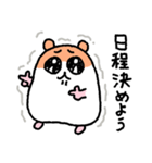 写真撮りに行くハムスター（個別スタンプ：4）